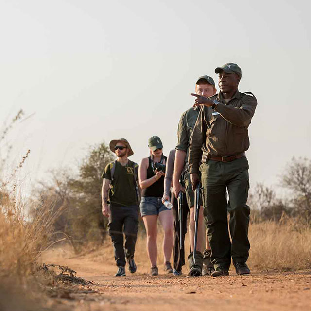 About Savanna Safaris image